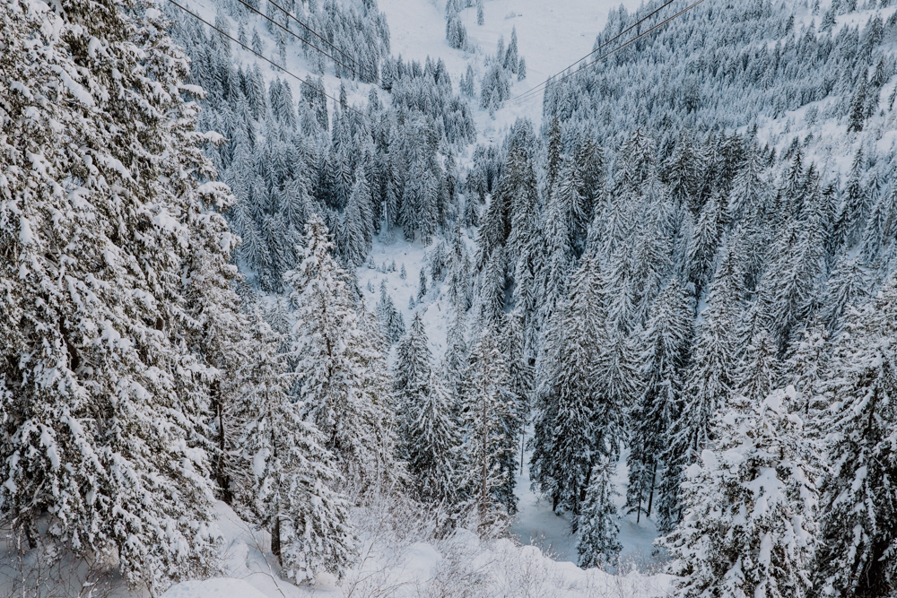 Belle Wedding | Hochzeitsplanung Winter Hochzeit Styled Shoot